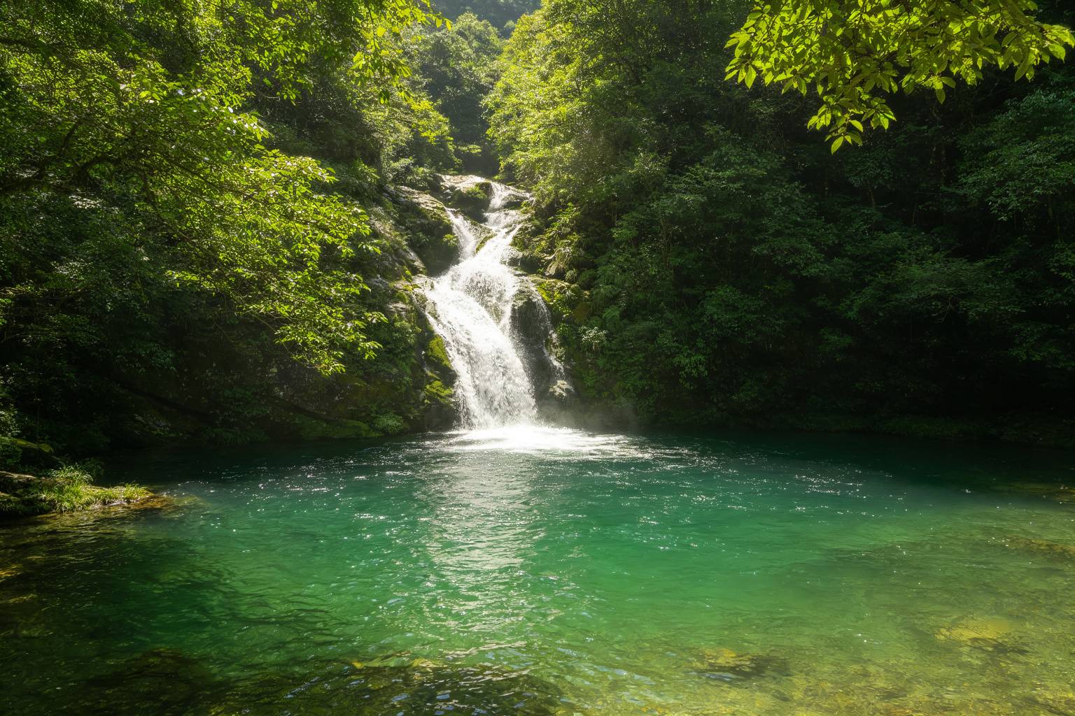 夏季旅游